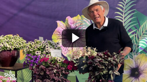 Videos from CAST 2026: Foliage Combos from Danziger