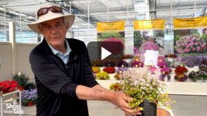 Videos from CAST 2026: Feathered Friends Ajuga at Kientzler