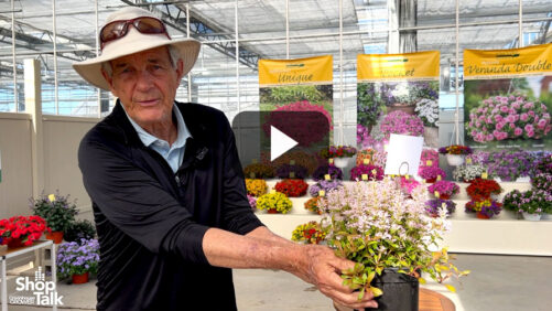 Videos from CAST 2026: Feathered Friends Ajuga at Kientzler