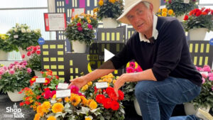 Videos from CAST 2026: City Lights Dahlia at Selecta One