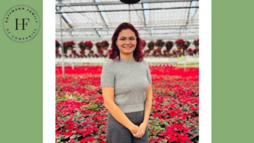American Farms Names New General Manager