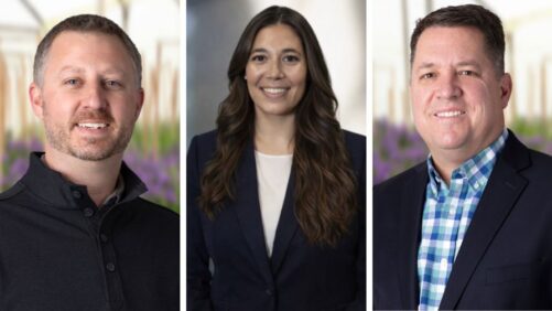 Syngenta and BASF Announce New Sales and Leadership Appointments