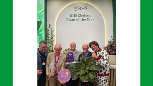 Plantipp Celebrates Wins at the 2026 Chelsea Flower Show