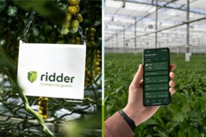 The Ridder Hortimax Plus climate computer helps growers further automate essential climate, water, and energy processes and functions in a cost-effective, sustainable, and future-proof manner.
