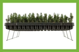 The AirpruneRack is a wire rack designed to raise trays for healthier crops, accelerated growth, and air-root pruning.