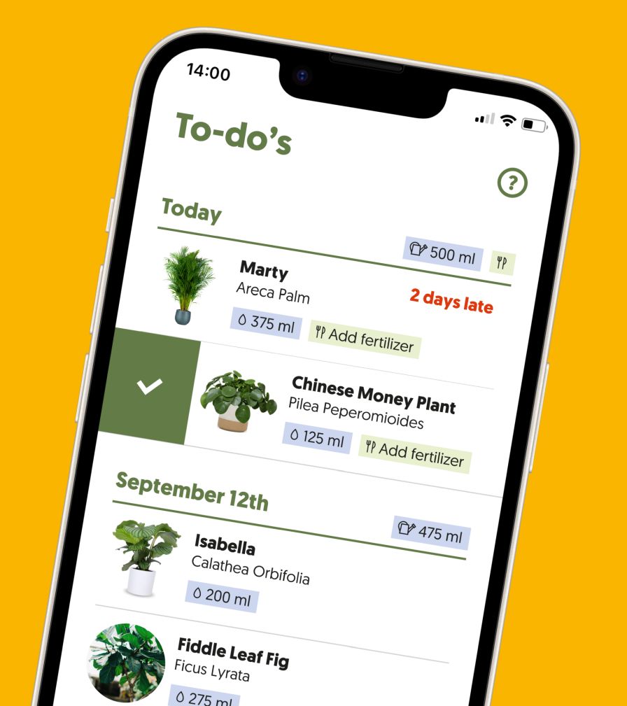 Van Wingerden Greenhouses uses the Plantsome online platform, which tracks plant sales and offers care advice for consumers.