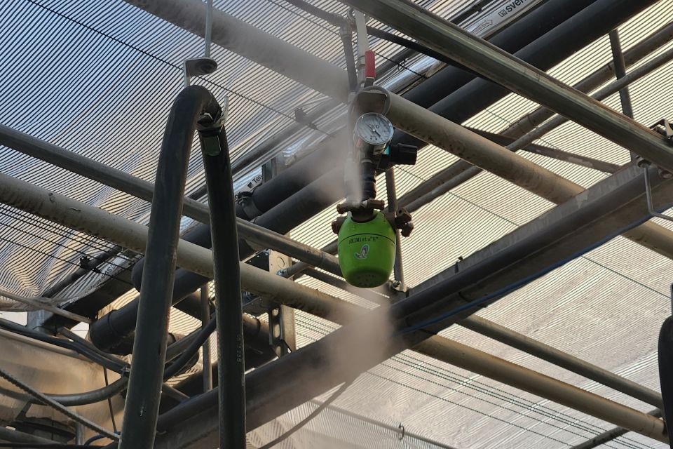 Wenke/Sunbelt Greenhouses has added a humidification system in both its propagation coolers and greenhouses. The biggest benefit has come in cutting propagation, where the system has improved rooting speed and reduced losses by 20%.