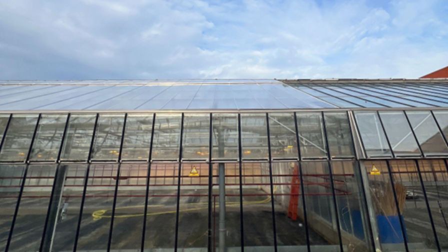 ETFE High-wind case study structure.