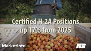 H-2A Program Sees Massive Growth in First Half of 2026