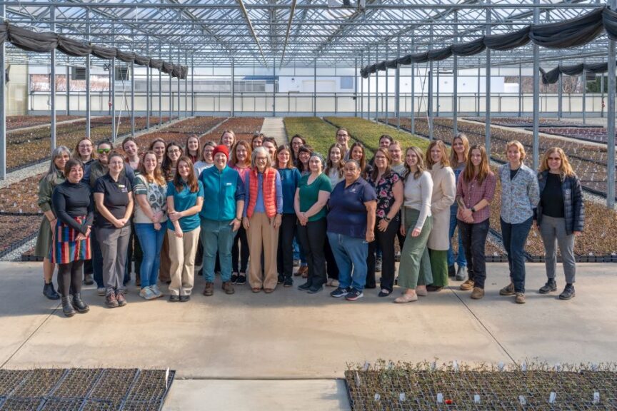 Anna Ball, Susannah Ball, and the women of Star Roses & Plants