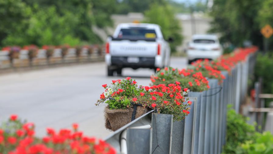 Since 2012, Castle Rock, WA, has earned several Certificates of Recognition from America in Bloom.