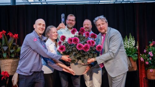 PanAmerican Seed Takes Home the 2026–27 FleuroStar Award