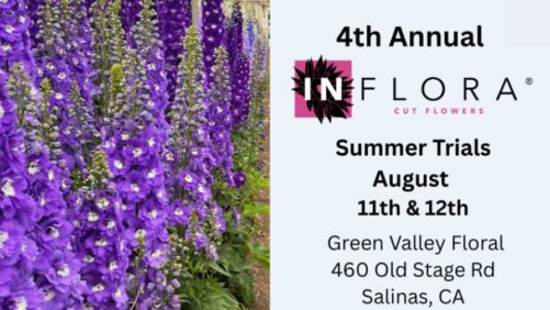 Registration Now Open for InFlora Cut Flowers’ 4th Annual Summer Trials