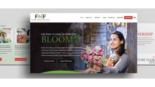 Floral Marketing Fund Debuts New Research Alongside Redesigned Website