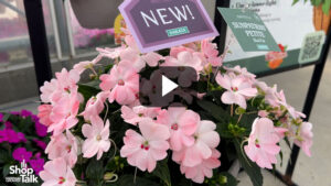 Videos from CAST 2026: SunPatiens Petite Debuts at Sakata