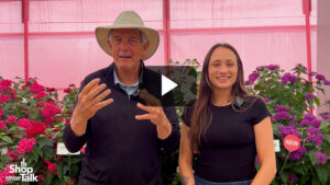 Videos from CAST 2026: Street Art Pentas Stands Tall at Benary