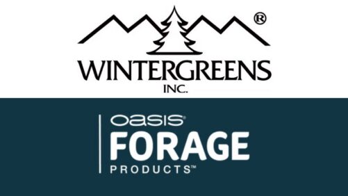 New Collaboration Brings Wintergreens Forage Kit to Horticulture Retailers