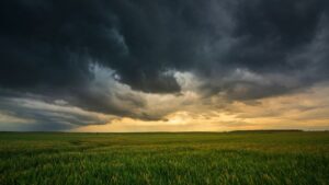 Before the Storm: Is Your Business Ready for the Day You Can’t Show Up?