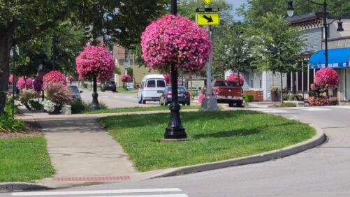 America in Bloom Celebrates 25 Years of Community Partnerships