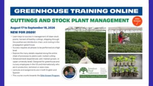 2026 Greenhouse Training Online Continues with “Cuttings and Stock Plant Management”