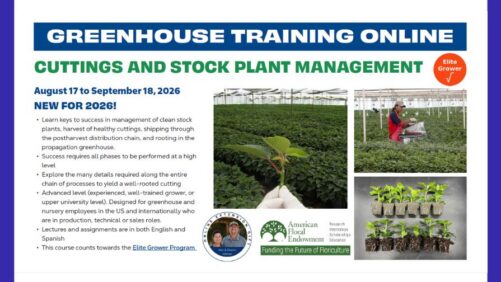 2026 Greenhouse Training Online Continues with “Cuttings and Stock Plant Management”