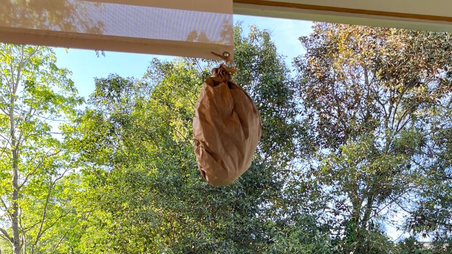 A homemade faux wasp nest hangs from the deck as a simple, low-tech attempt to discourage carpenter bees.