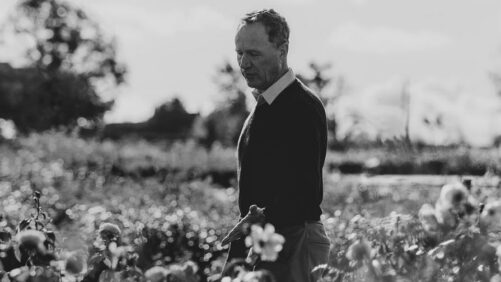 David Austin Roses Mourns the Passing of David J. C. Austin