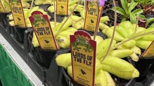 15 Products That Most Impressed Garden Retailers at Cultivate’26
