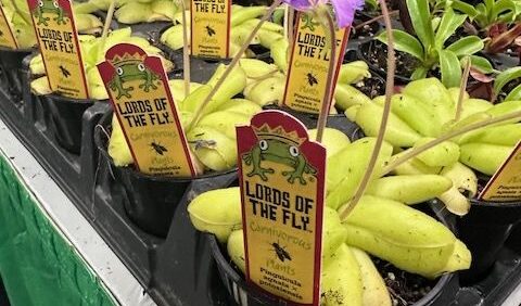 15 Products That Most Impressed Garden Retailers at Cultivate’26
