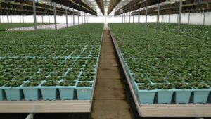 Highlights from Greenhouse Grower’s July 2026 Issue