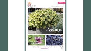 Quality Cuttings Releases Reimagined 2026–2027 Catalog