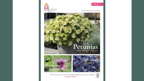 Quality Cuttings Releases Reimagined 2026–2027 Catalog