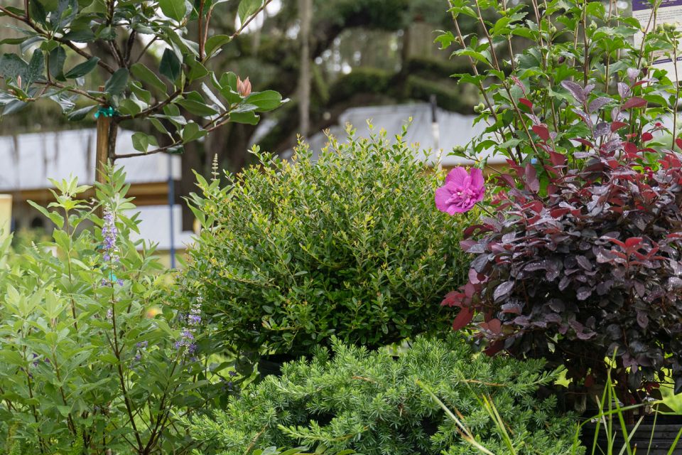 Retail success still depends on plants looking full, clean, and visually compelling at the point of sale.