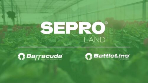 SePRO Expands Ornamental Portfolio with Barracuda and BattleLine Products
