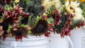 The Road to More Sustainable Floral Transportation