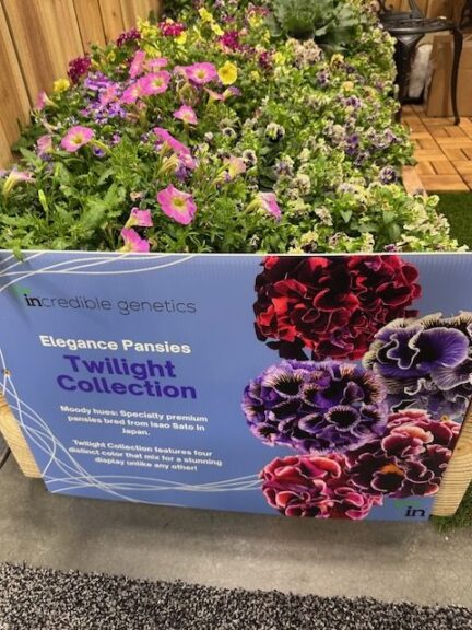 Elegance Pansies Antionette & Twilight Collections (Tagawa Greenhouse)