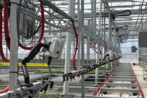 The Tower Boom is a stable boom option that travels on rails fixed to greenhouse post rows, rather than overhead center rails, which can lead to a shorter operating area.