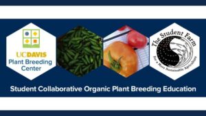 University Program Empowers Students with Practical Plant Breeding Experience