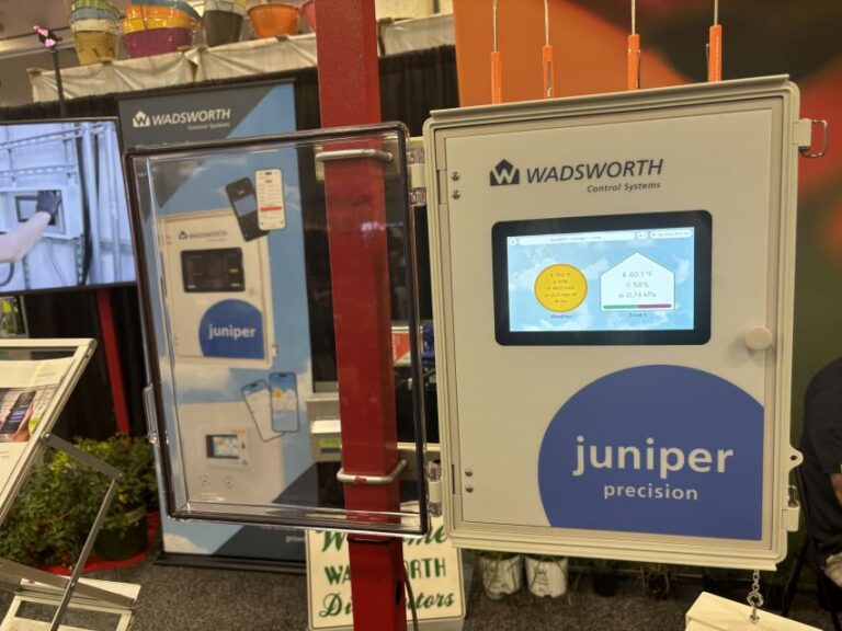 Wadsworth Juniper Precision