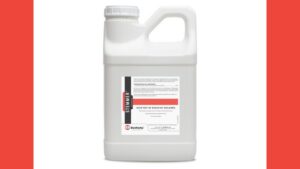 BioWorks Launches Stemmer to Strengthen Structural and Stress Resistance in Plants