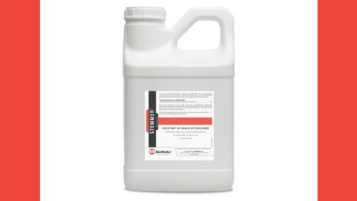 BioWorks Launches Stemmer to Strengthen Structural and Stress Resistance in Plants