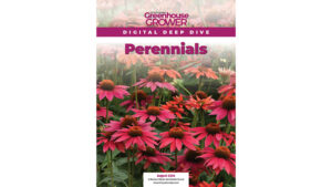 Don’t Miss Greenhouse Grower’s Digital Deep Dive on Perennials
