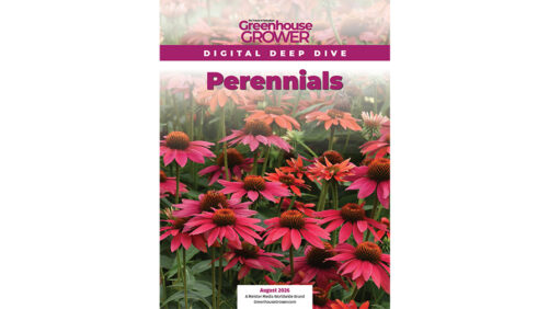 Don’t Miss Greenhouse Grower’s Digital Deep Dive on Perennials