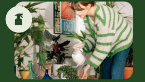 Costa Farms Partners with Planta for Plant Care Tips