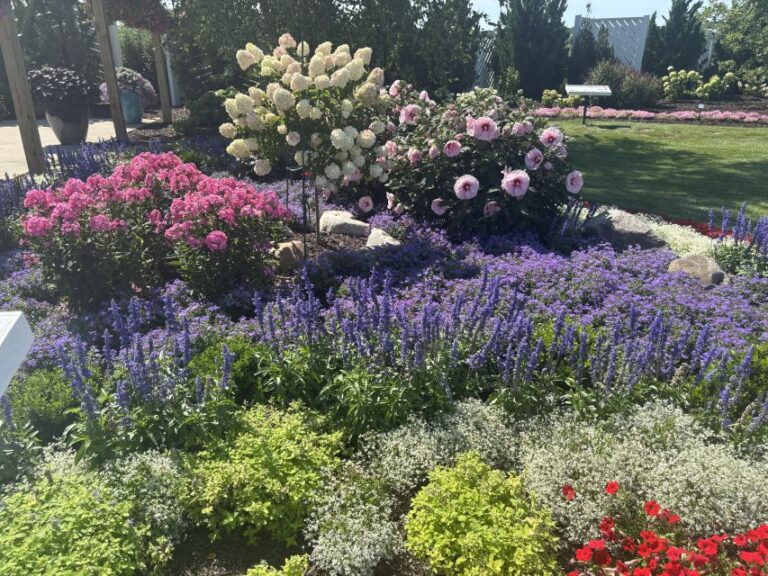 The trial gardens feature displays that can be easily recreated at home.