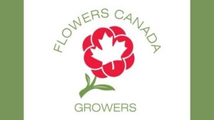 Flower Canada Growers Says Tariffs Pose Threat to Both Canadian and U.S. Producers