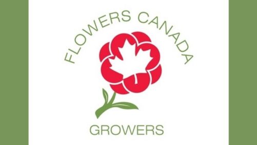 Flower Canada Growers Says Tariffs Pose Threat to Both Canadian and U.S. Producers