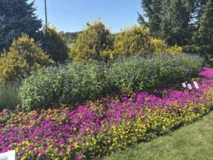 Landscape potential is on full display
