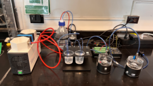 Sensor-Based Irrigation for Greenhouse Ornamental Crop Production