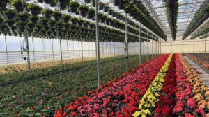 Beyond Sweat Equity: Compounding Growth and Building Value in Your Greenhouse Business